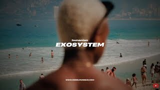 Hunanian - Exosystem