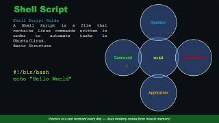 Shell Script