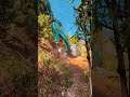 Power of Excavator #trending #foryoupageシ #dozer #goviral #excavator