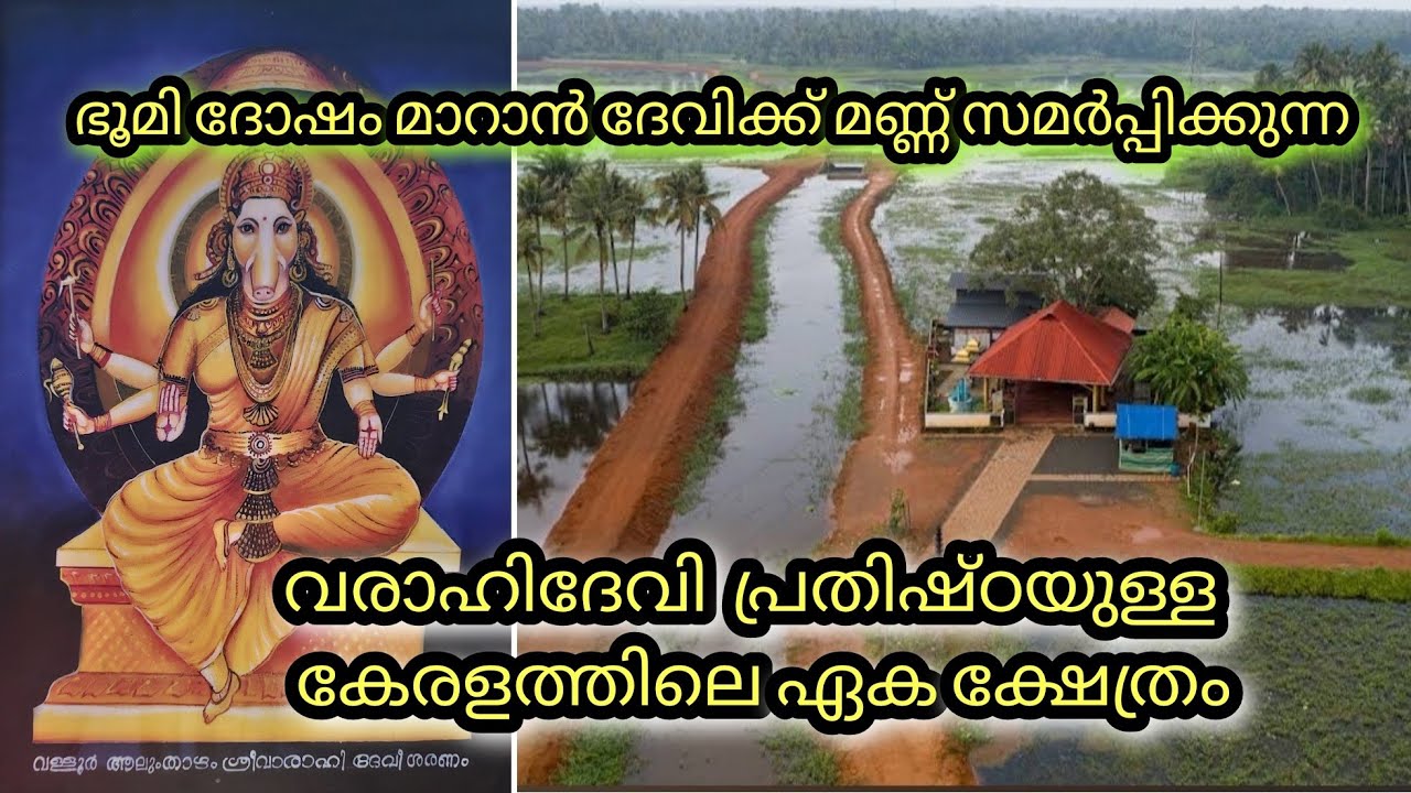 കേരളത്തിലെ ഏക വരാഹി ദേവി ക്ഷേത്രം /AALUMTHAZHAM SREE VARAHI TEMPLE VALLOOR #varahidevi #varahidevi
