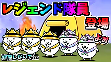 にゃんこ カマトト にゃんこ カマトト