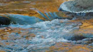 Golden River Split | Hypnotic Water Flow | Natural Resonance ASMR