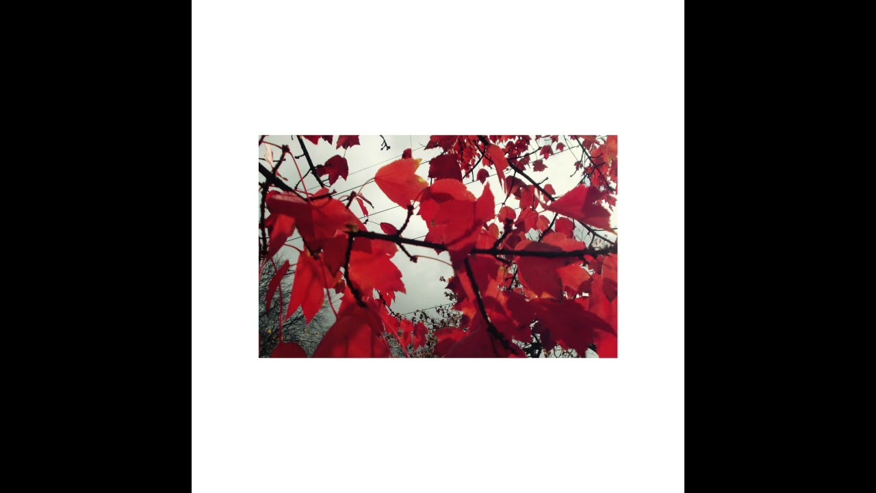 YouTube에서 Blanket Swimming - Fūrin (2023, Full Album) 보기 YouTube에서 Blanket Swimming - Fūrin (2023, Full Album) 보기