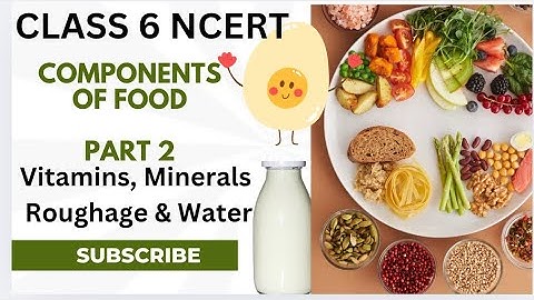 Components of Food 2 || NCERT6 ||CTET Paper 2 Science @Pandey_Jyoti  #ncert #food #nutrients