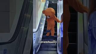 This cute teddy bear has actually turned into a thief!!