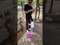 人生最強のピンチに遭遇する2歳児#baby #funny #shorts