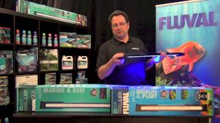 Fluval Performance LED Lighting Overview