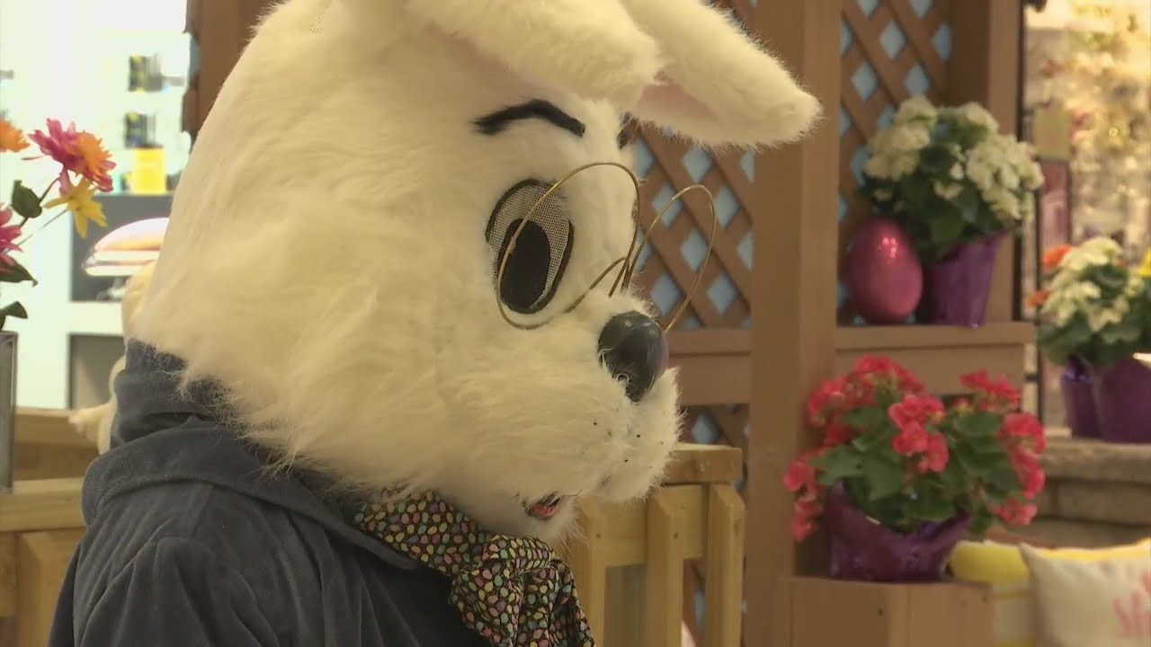 easter-bunny-is-back-at-the-cherryvale-mall-youtube