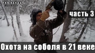 Промысел соболя 21 век. Часть 3. Охота. Закрытие сезона Hunting in Russia