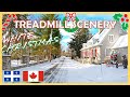 1 Hour Virtual Run | White Christmas | Treadmill Workout Scenery | Virtual Running Videos