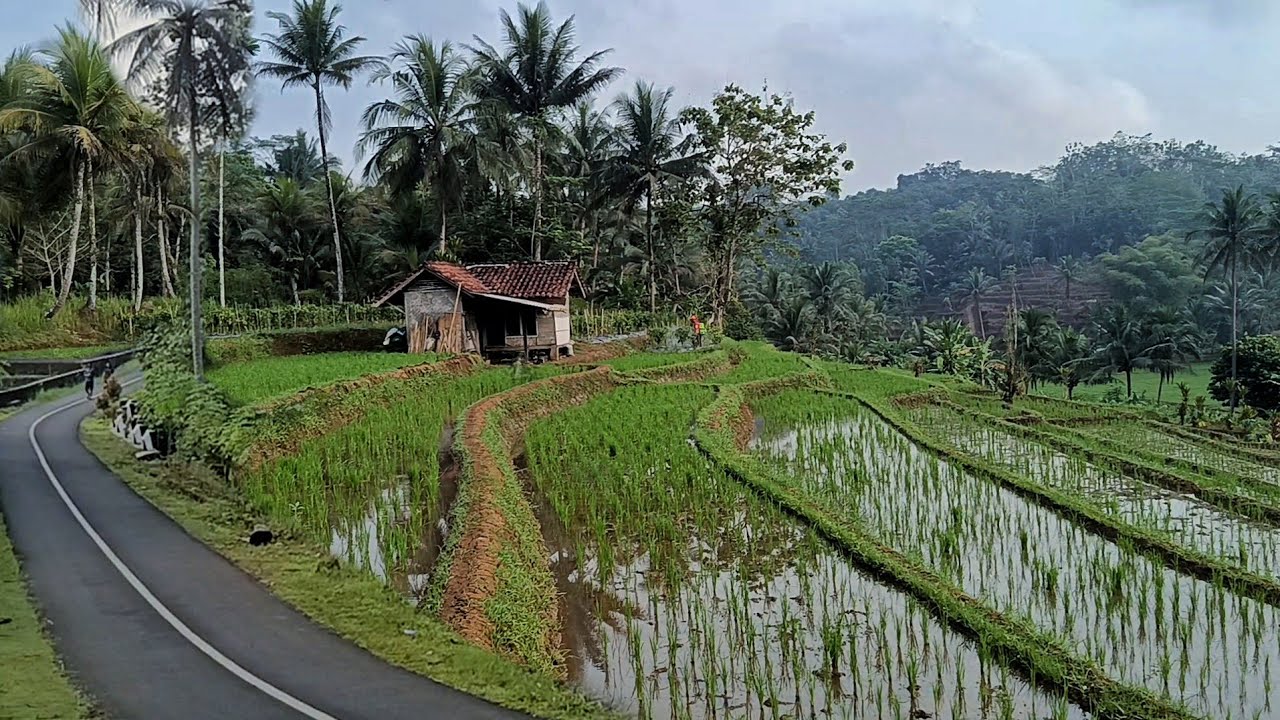 Apakah ini kampung terbersih terindah di Ciamis⁉️Coba mampir sebentar kalo lewat ke sini