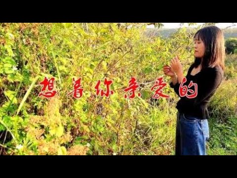 动感女歌手一首DJ《想着你亲爱的》旋律优美动听，听醉多少人！