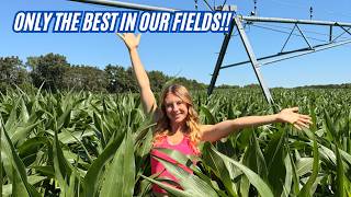 Growing the Best Corn in the County