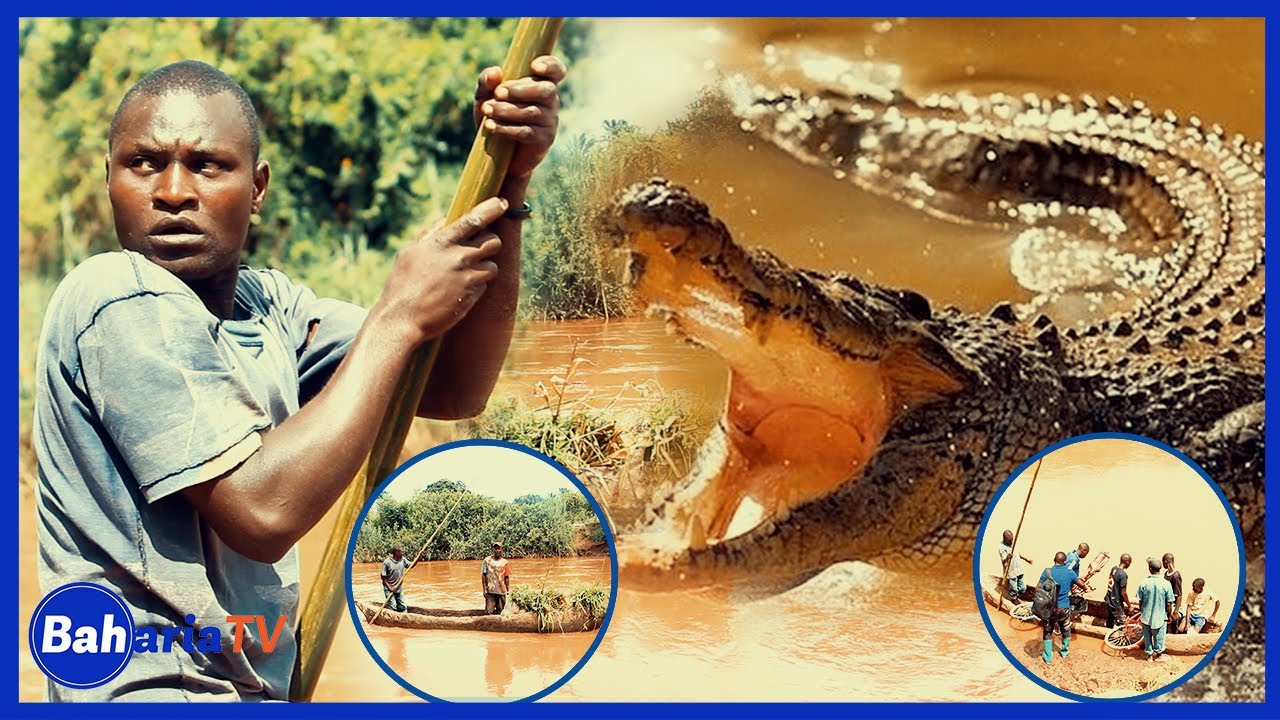 KYELA:HATARI YA MAMBA KWENYE KIVUKO CHA MPOMBO MTO KIWIRA