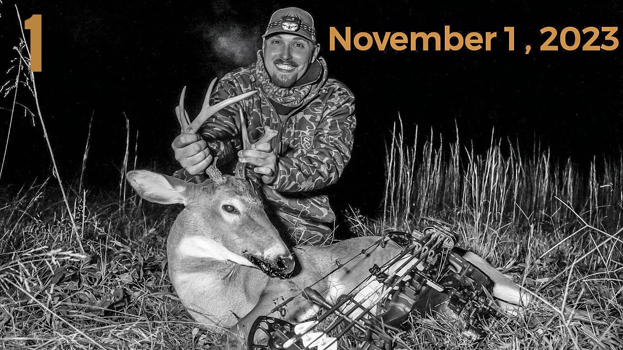 Buck Down In Mississippi Public Land Deer Hunting In November YouTube buck-down-in-mississippi-public-land-deer-hunting-in-november-youtube