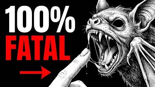 The Insane Biology of Rabies