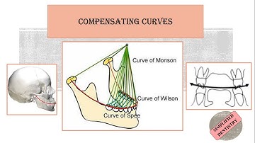 Compensating Curves | Curve of Spee | Curve of Wilson | Curve of Monson