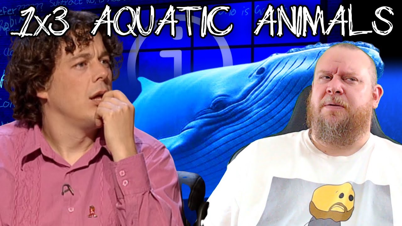QI S1E3 "AQUATIC ANIMALS" REACTION - How did Davies get minus 20 points???