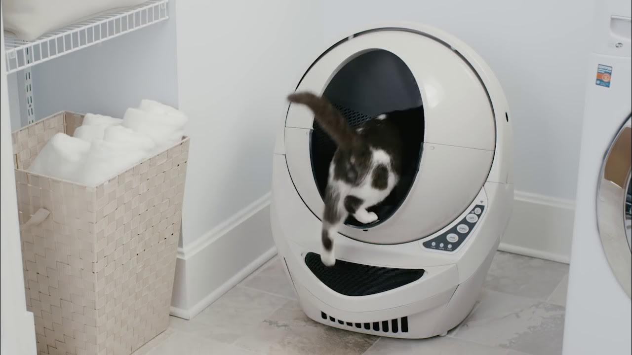 How Litter-Robot 3 Works - The Revolutionary Self-Cleaning Litter Box - Does Litter Robot Have Black Friday Sales