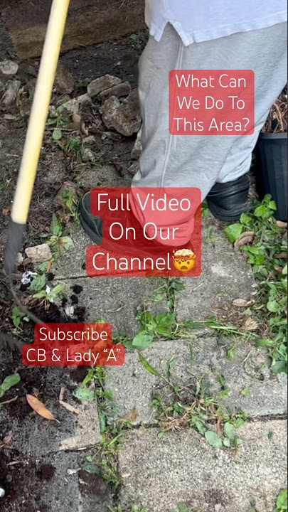 Working! | CB & Lady “A” #shorts #cleaning #husband #yard