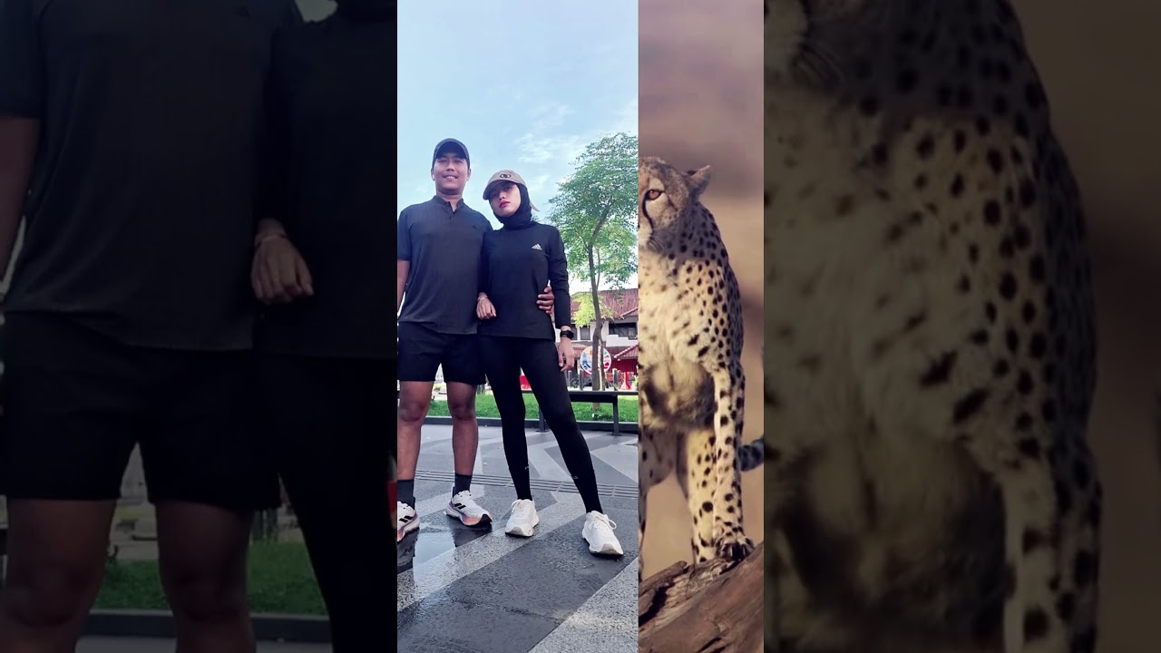 JANGAN MALAS BERGERAK!!