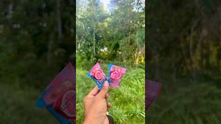 survival in search of food in the vast forest