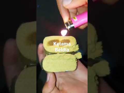 زطلة كتامية