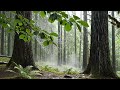 Relaxing Piano Music 🌙 Soft Ambient Sounds for Deep Sleep & Focus