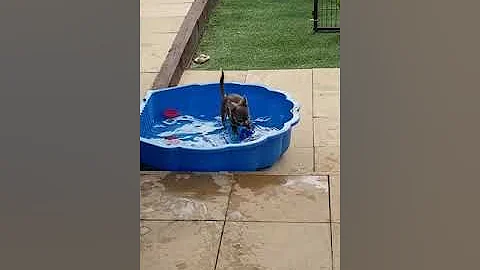 Little Esm knows how to keep cool in this hot weat...
