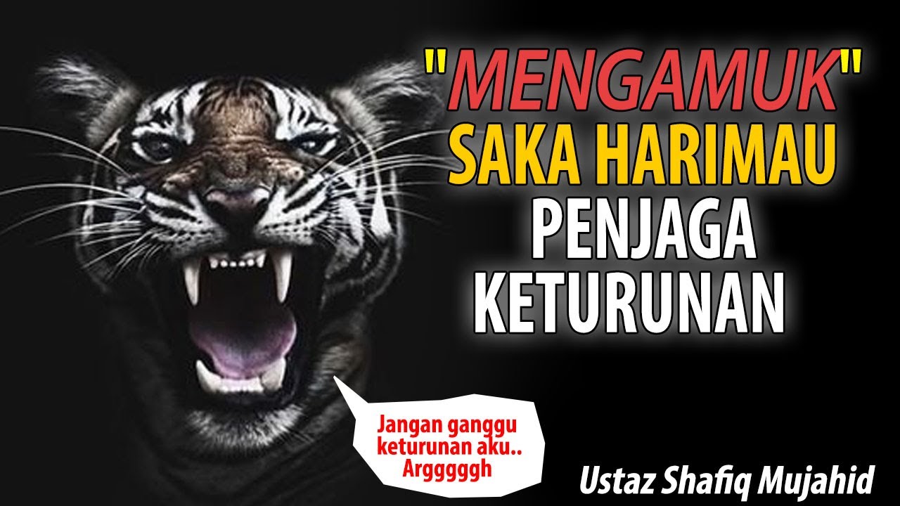 HARIMAU Khadam Keluar Akhirnya