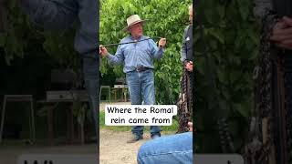 ROMAL REIN history and function