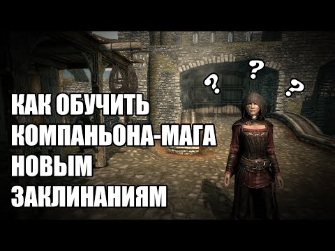 Как стать отличным компаньоном