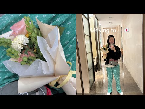 저 이사갑니다 근데 일본으로 ✈ 떠나기 전 grwm ~ 짐은 내일 싸도록 하자 !  일본 출국 전 준비물 (유심,수화물추가,귀여운 지갑과 바지) ꕤ MORE김모어