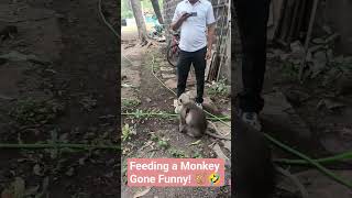 Funny Moment: Monkey Comes Near and Kids Run Away! 😆