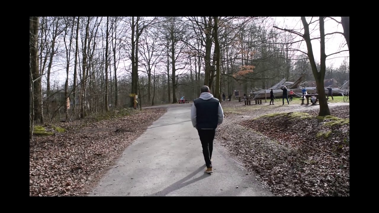 Forêt monumentale - Houppeville - Normandie - France