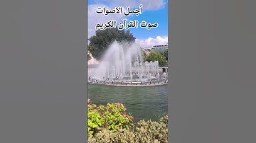 قران كريم بصوت جميل للشيخ #القارئ  ماهر المعيقلي #المصحف #راحة_نفسية #تصويري #اكسبلور #cat