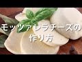 モッツァレラチーズの作り方-レンネットと牛乳で簡単チーズづくり-/How To Make Mozzarella cheese