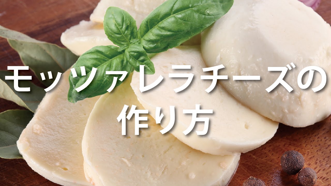 モッツァレラチーズの作り方 レンネットと牛乳で簡単チーズづくり How To Make Mozzarella Cheese Youtube