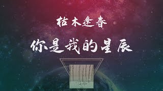 枯木逢春 - 你是我的星辰 ◖這世界最亮的星辰，是你溫柔的眼神◗ [ Lyric Video] 官方動態歌詞版