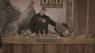 DSD Posturing Jake | Product Highlights