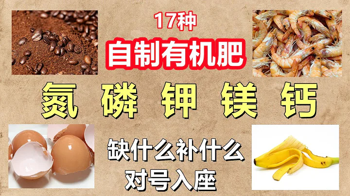17种自制氮磷钾镁钙有机肥, 不花钱对症下药 - 天天要闻