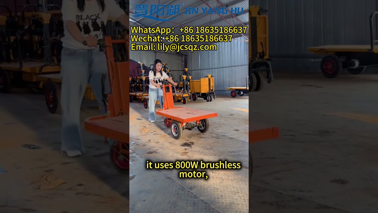 JIN YANG HU Electric Mini Flatbed Tuck Three Wheel Small Platform Trolley Easy To Operate 3wheels
