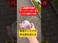 四角い石を蹴って丸くするティックトッカー現る!20日目 #石蹴男 #東海オンエア