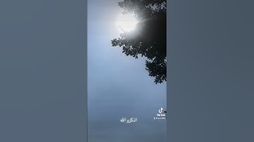 الملك القدوس /عبد الباسط عبد الصمد اخر سوره الحشر/قران كريم