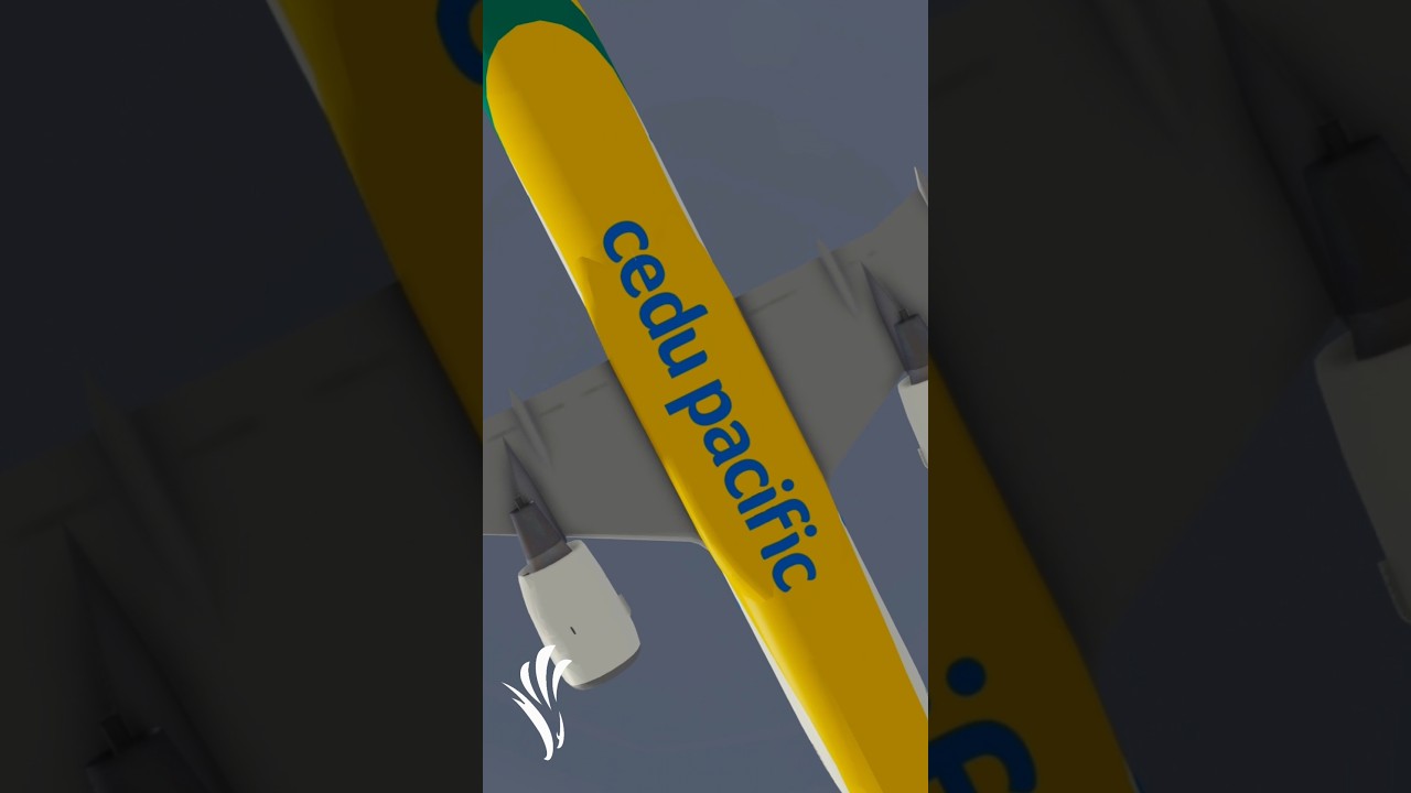 Meet our fleet! ✈️ 