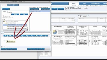 Simmons Quick Reports