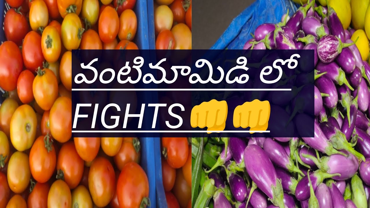 FIGHTS వద్దు వ్యాపారం ముద్దు👊👊