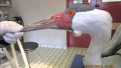 How does barcoding work?