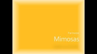 Video thumbnail of "Mimosas- Parmalee Lyrics"