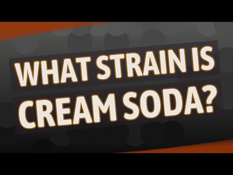 What Strain Is Cream Soda